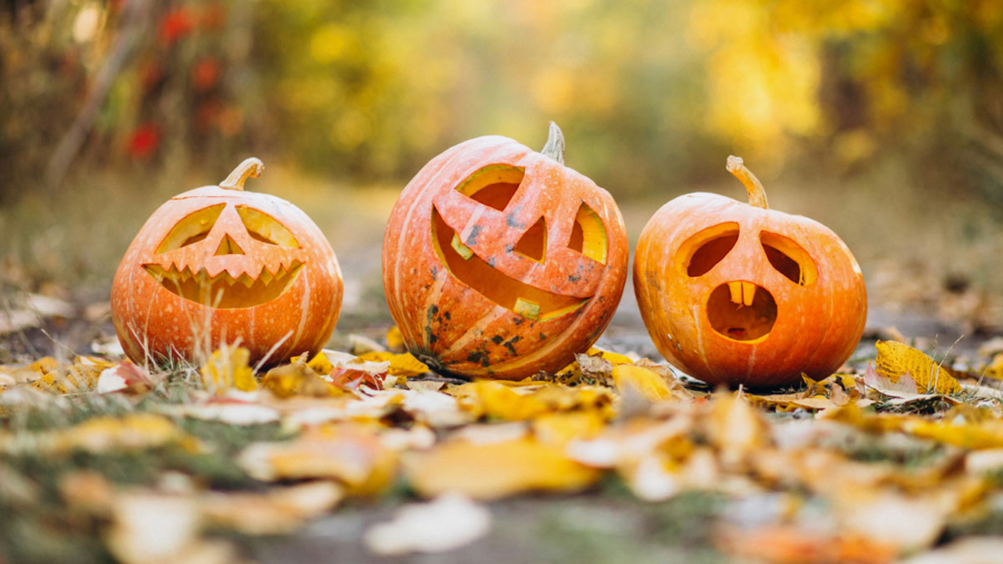 frabato-magus-halloween-pumpkins1