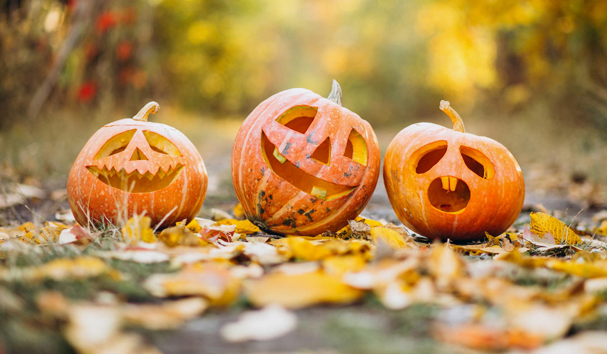 Faragj magadnak tököt Halloweenre!